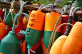 Floats, Bodega Bay