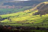 North York Moors, England