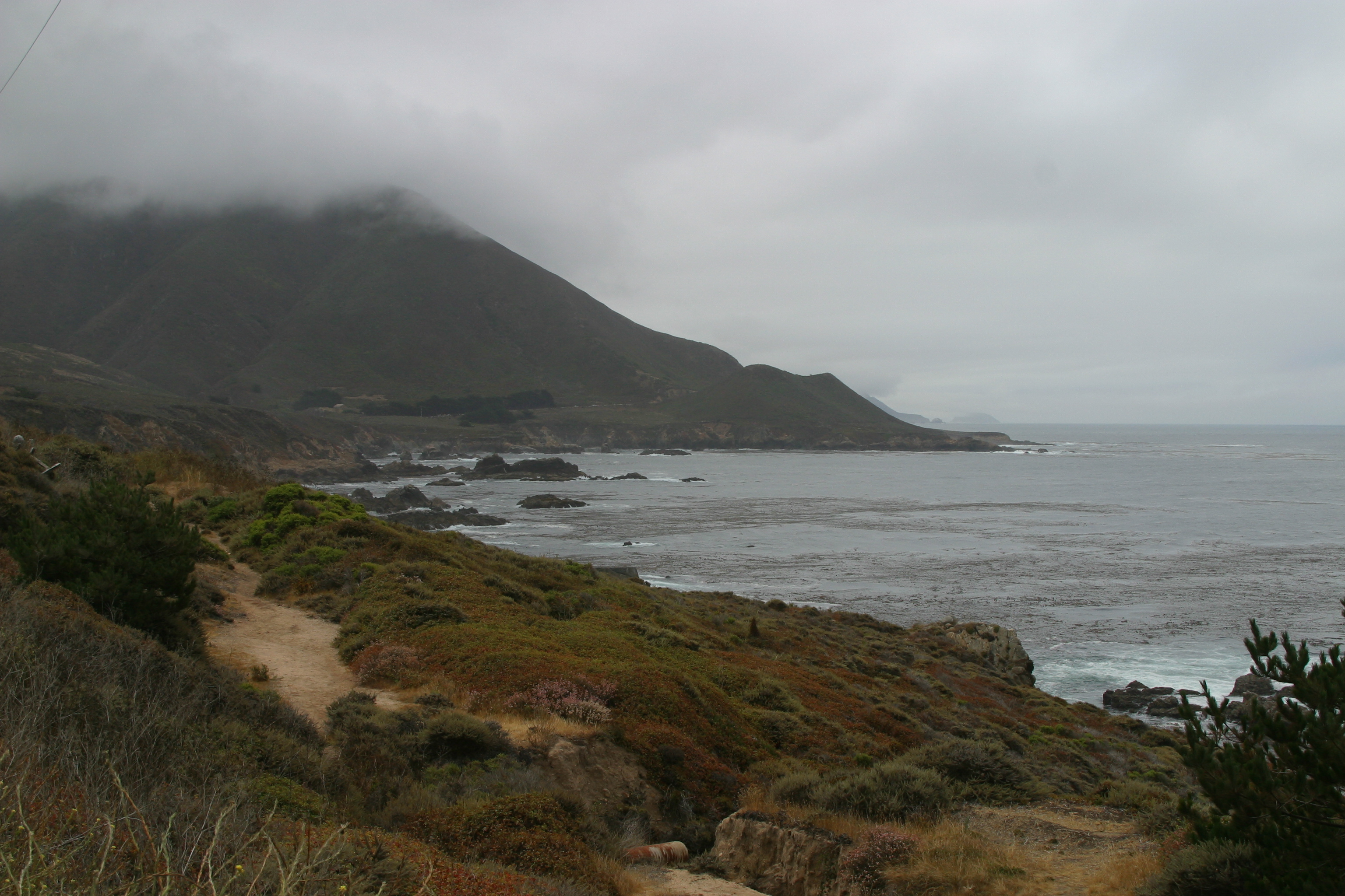 Mist, Monteray coast