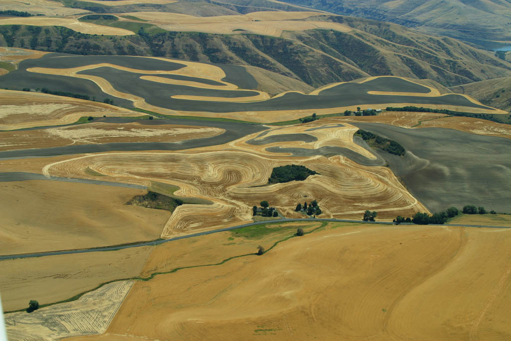 Fields, Lewiston, Wa