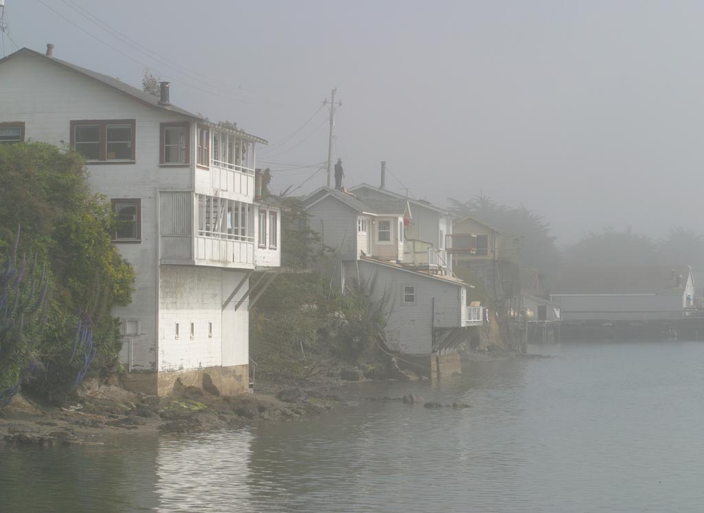 Mist, Bodega Bay