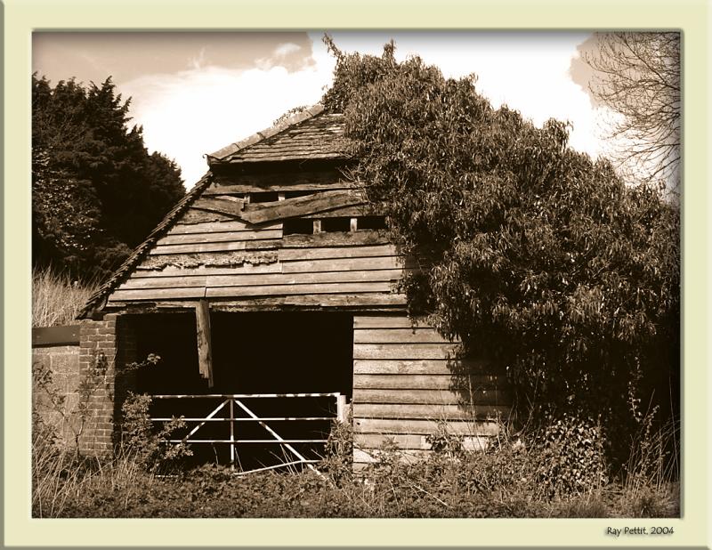 April 19 2004:<br>Overgrown