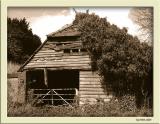 April 19 2004:<br>Overgrown