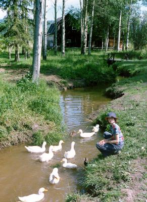 Karen and the ducks