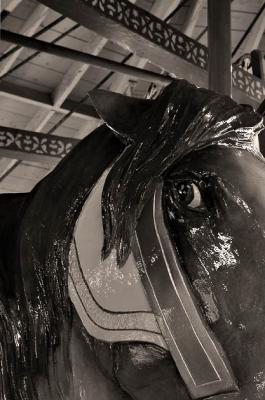 u43/cman3002/medium/33640314.carouselhorse_sm.jpg