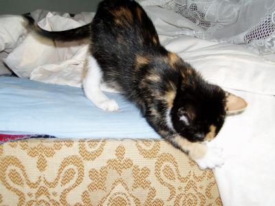 P9060109_resize.JPG