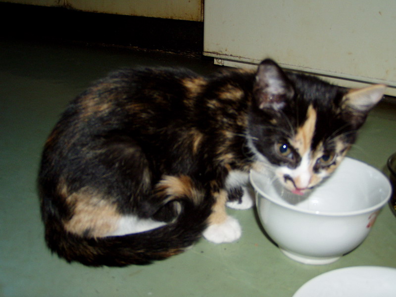 P9060112_resize.JPG