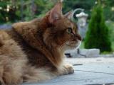 DSC00470.JPG