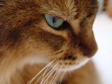 DSC01130.JPG