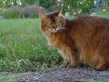 DSC01143.JPG
