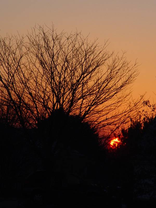 DSC02893.JPG