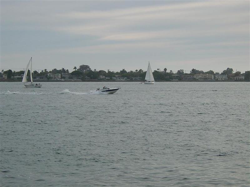 DSC05464 (Large) (Medium).JPG