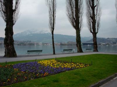Lake Lucerne 3