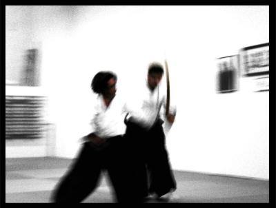 *Aikidoby Scott Hopkins