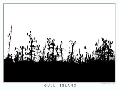 Gull Island