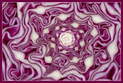  Fractal Cabbage *Ann Chaikin