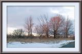 *Sunset Trees by Lonnit Rysher