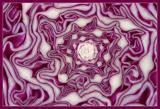  Fractal Cabbage *<br>Ann Chaikin