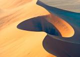 <b>5th Place (tie)</b><br><i>dune*<br>by falevine</i>
