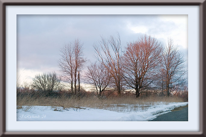 *Sunset Trees by Lonnit Rysher