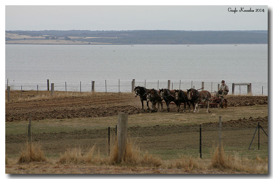 Working the Land *
