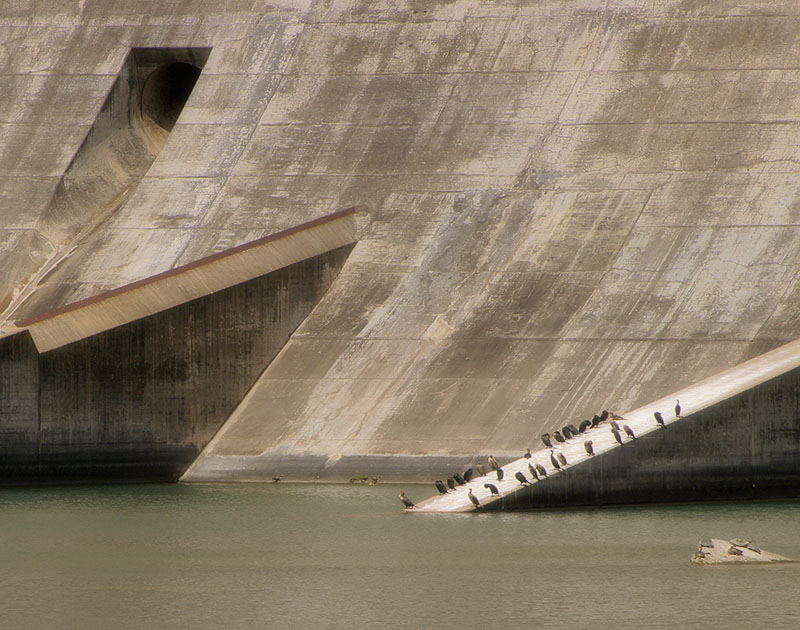 <b>Whitewashing Mansfield Dam</b>*<br>Victor Engel