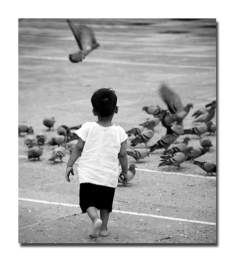 <b>Birds and the Boy</b><br><i>by Vikas</i>