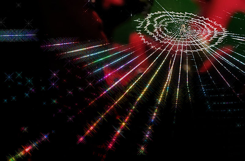 Spider4 *