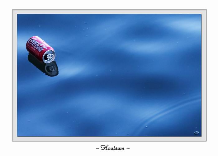 <b>7th Place</b><br>Flotsam<br><i>by Michael Soo</i>