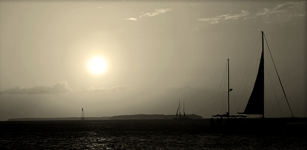 Sunset Sails *