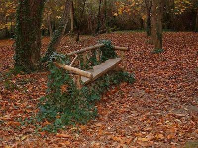 Les Feuilles Mortes *