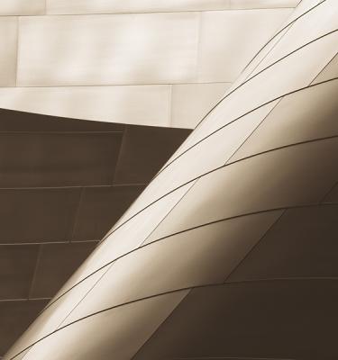 Disney Concert Hall Detail #2