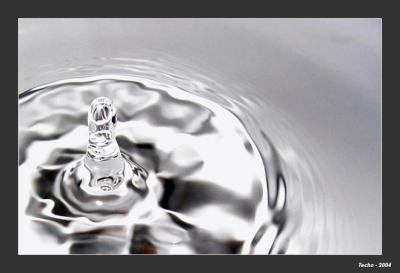 Fourth Place - H2O*