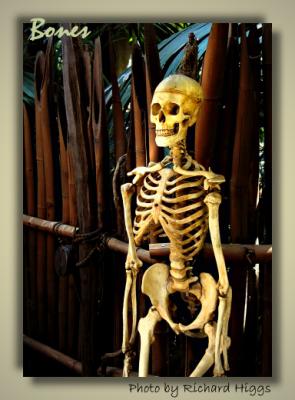 u43/ctfchallenge/medium/33616370.Bones.jpg