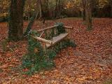 Les Feuilles Mortes *