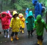 Have You Ever Seen the Rain? *