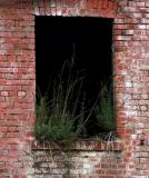 Natural Window Box