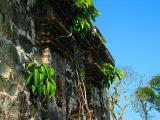 Old Architecture *