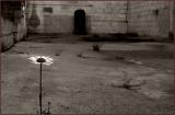 First Place - Living in Ruins