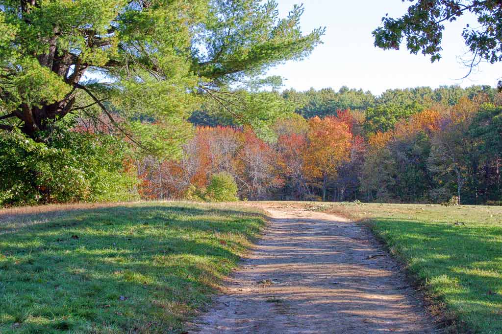 Take Me Home, Country Road - John Denver*