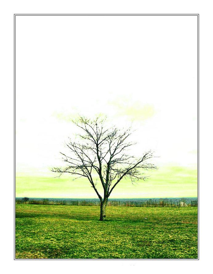 Memories of green (*)