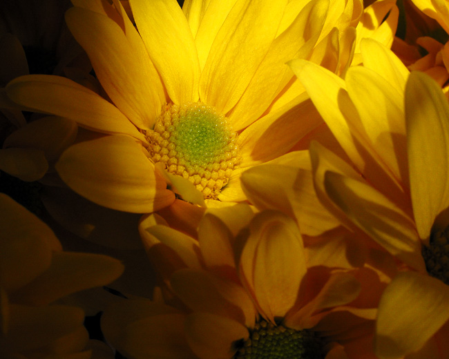 Mellow Yellow     *