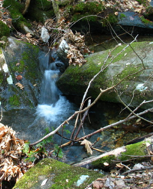 Waters of March *