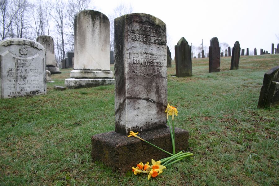 Where Have all the Flowers Gone?*