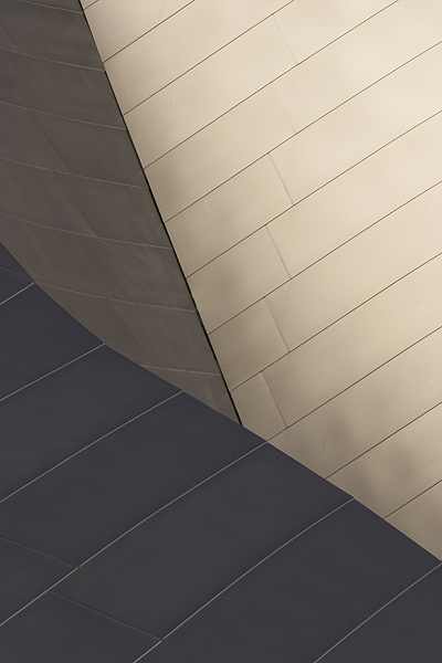 Disney Concert Hall Detail #1