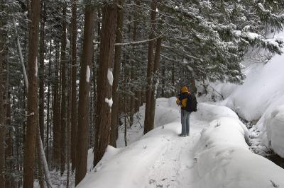 CRW_8498.jpg