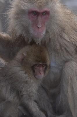 CRW_8603.jpg