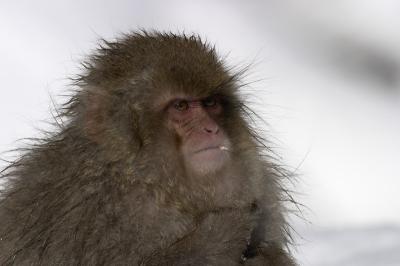 CRW_8671.jpg