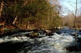 Connecticut DSC_0446-W.JPG