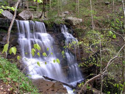 Sheep Cave Falls